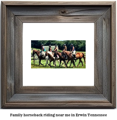 family horseback riding near me in Erwin, Tennessee